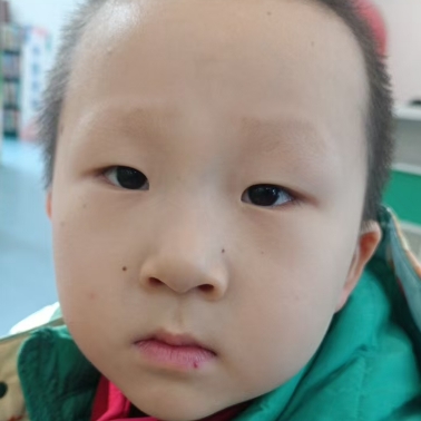 虞季博头像2.png